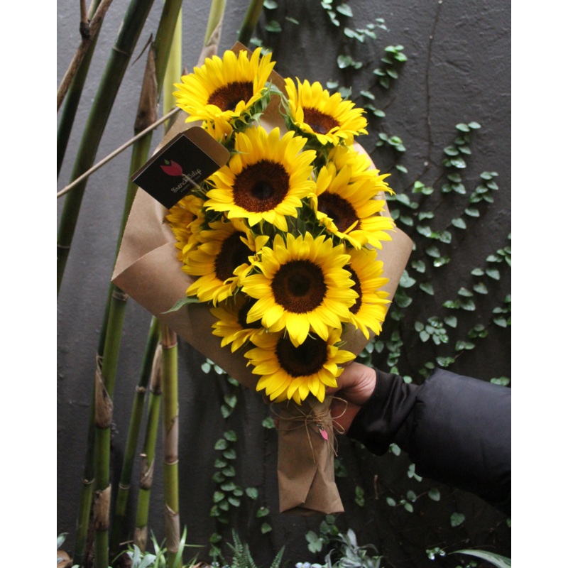 Sunny Obsession (12 Sunflowers)