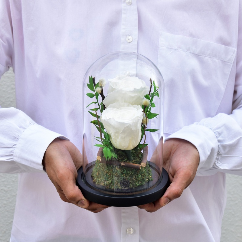 True Feelings – Forever Rose