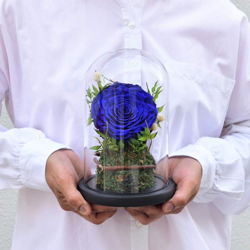 True Love – Forever Rose