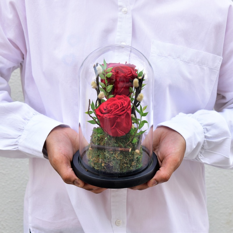 You & Me – Forever Rose