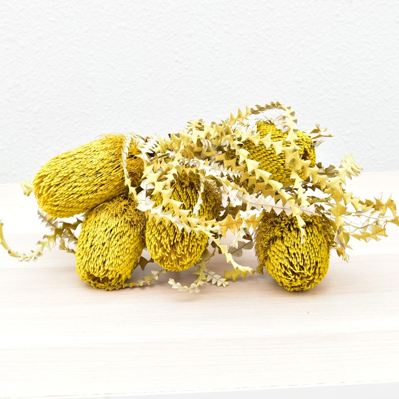 Banksias – Preserved-Pink & Yellow