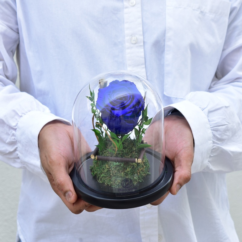 Dark Blue – Forever Rose