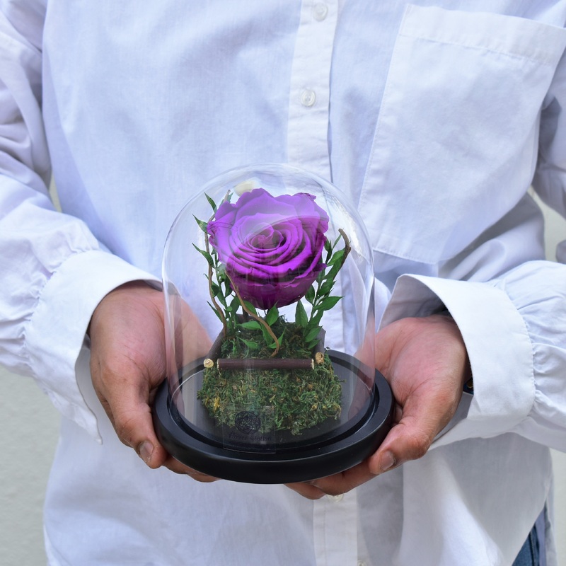 Dark Purple – Forever Rose