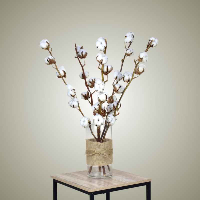 Dried Cotton in Vase