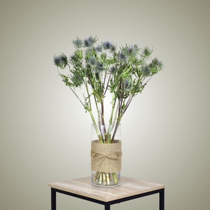 Dried Eryngium in Vase