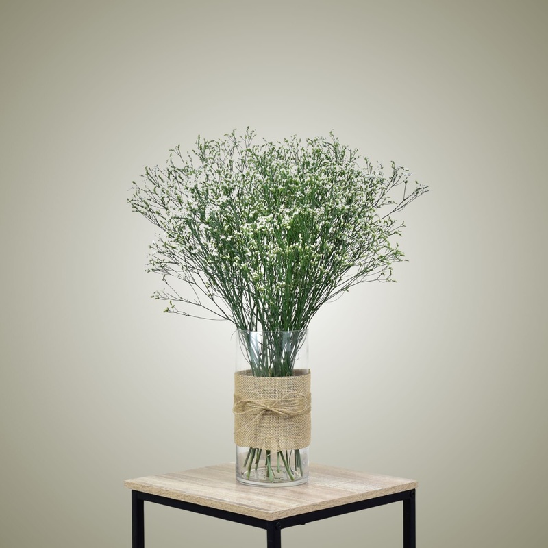 Dried Limonium in Vase