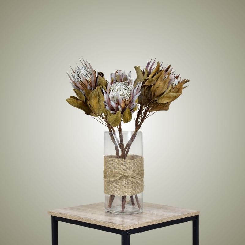 Dried Protea in Vase