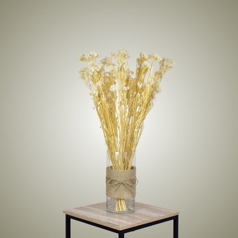 Dried Rice flower in Vase