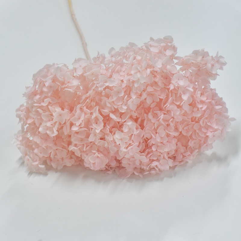 Hydrangea – Preserved-White & Pink & Purple & Yellow & Brown & Mint