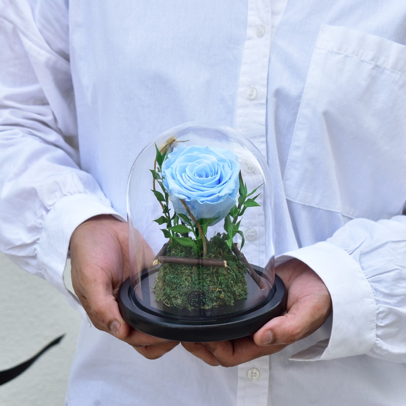 Light Blue – Forever Rose