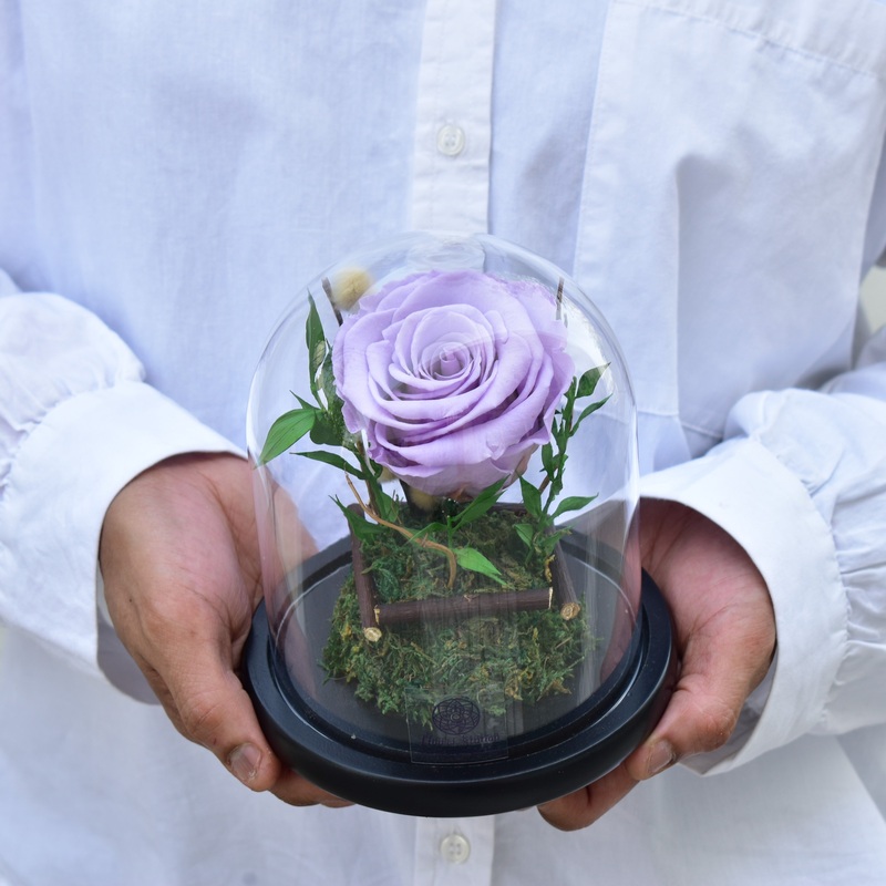 Light Purple – Forever Rose