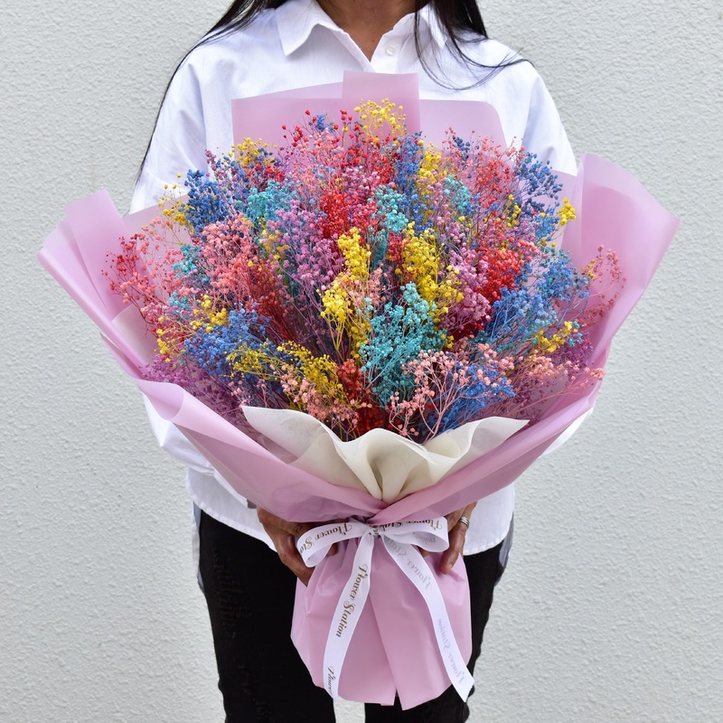 Million Stars-Standard & Medium & Large