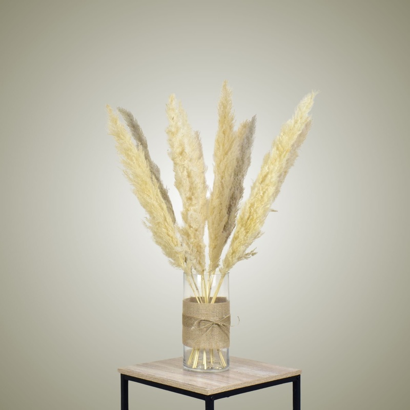 Pampas in Vase – Medium