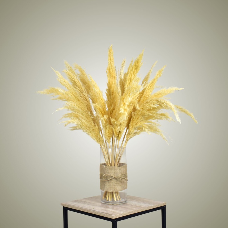 Pampas in Vase – Small