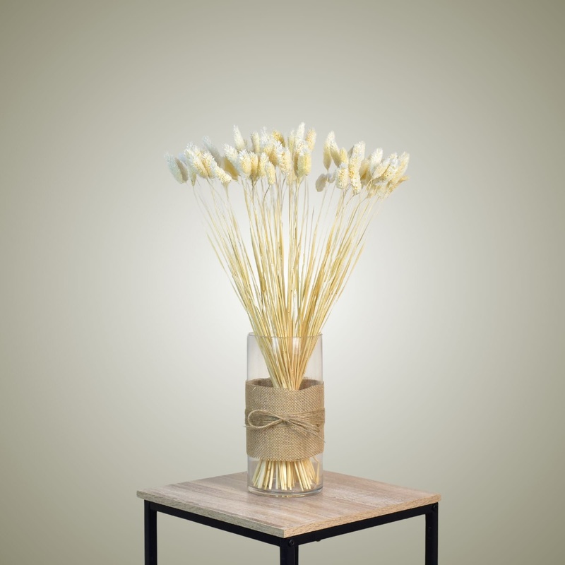 Phalaris in Vase