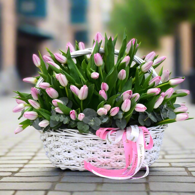 Century of Tulips-100 Tulips & 200 Tulips & 300 Tulips & 400 Tulips & 500 Tulips