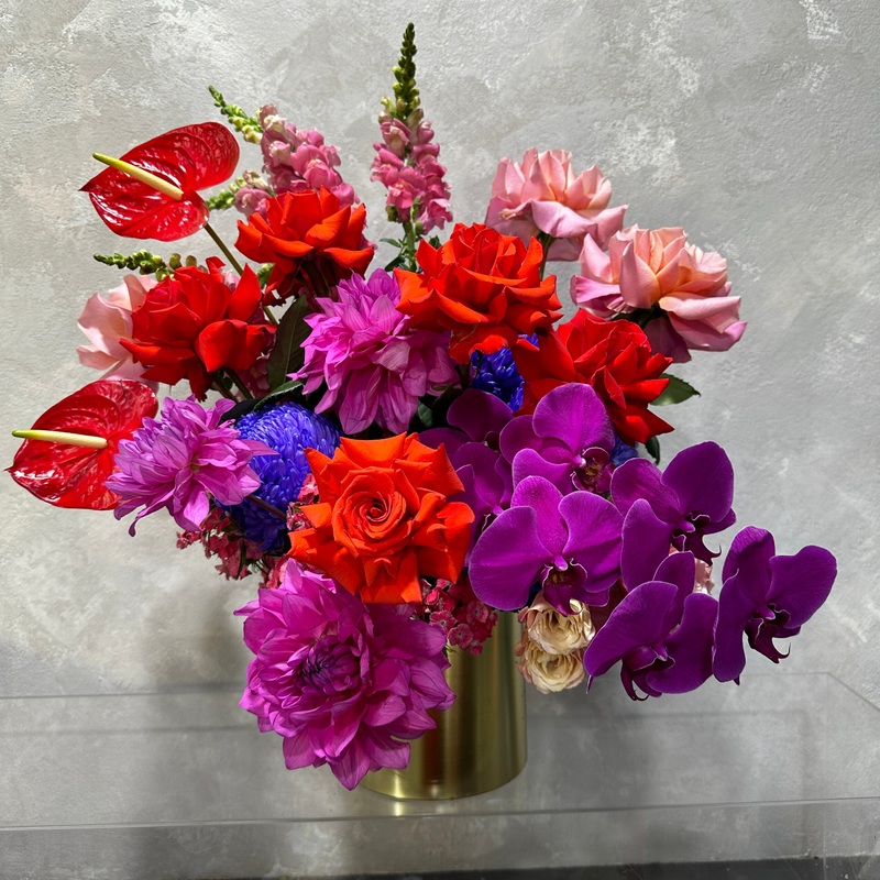 Neon Crush-Luxe & Premium & Standard