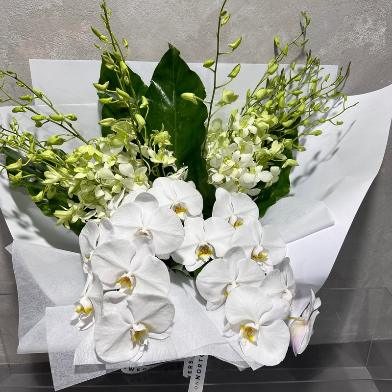 Orchid Treasure Bouquet-Luxe & Premium & Standard