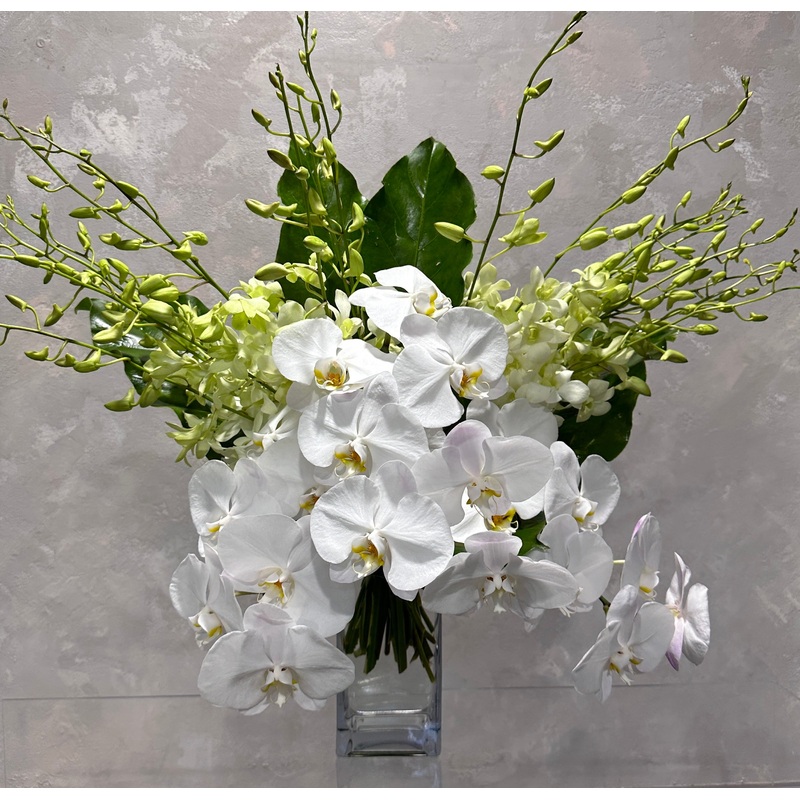 Orchid Treasure Vase Arrangement