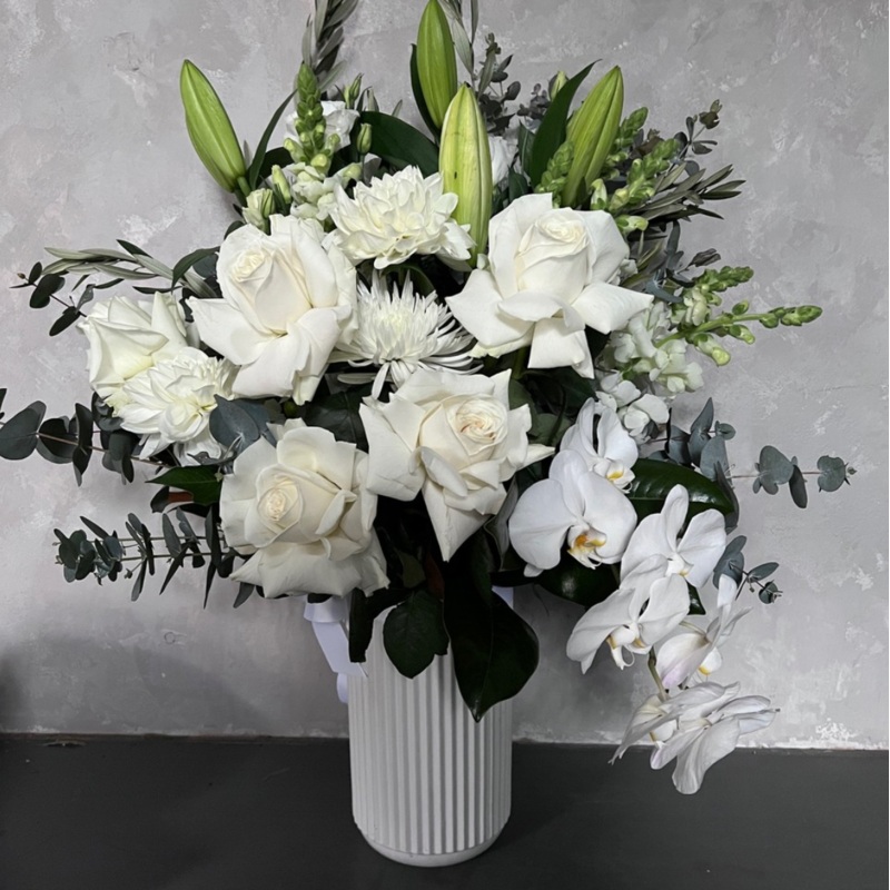 Snowy White-Standard & Premium (PICTURED) & Luxe