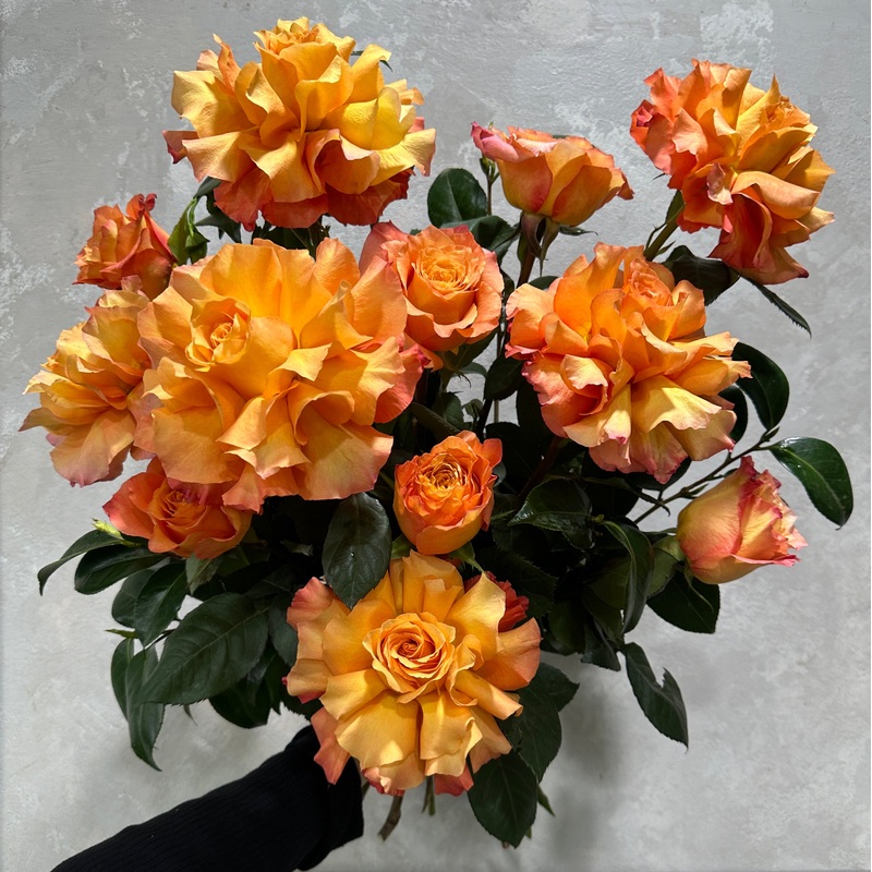 Freespirit Bud + Bloom Rose Bouquet