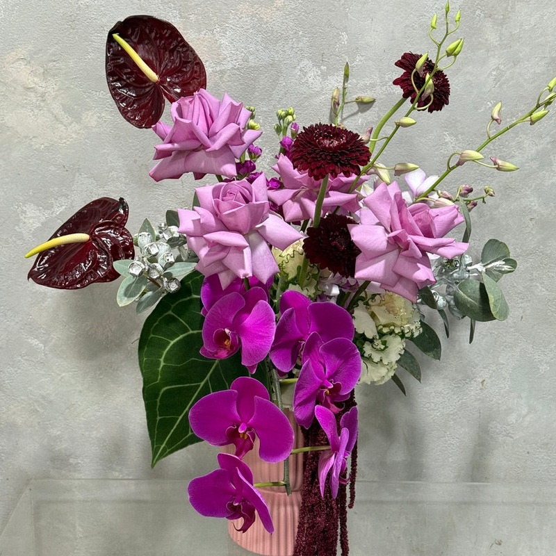 Purple Princess-Standard & Premium & Luxe