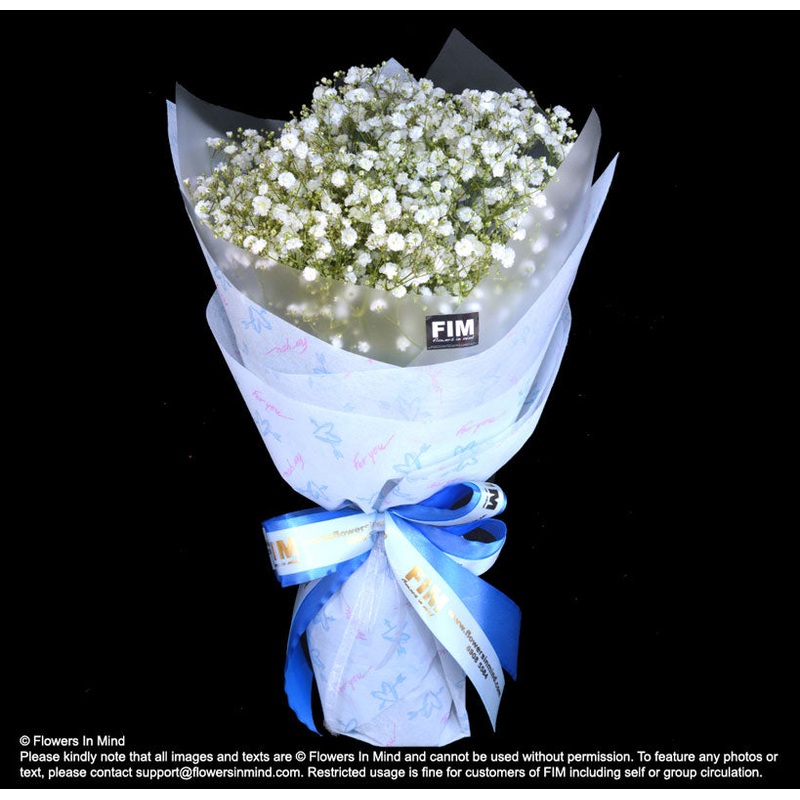 Bouquet of Gypsophila (HB56)-Small blooms of Gypsophila & Big blooms of Gypsophila