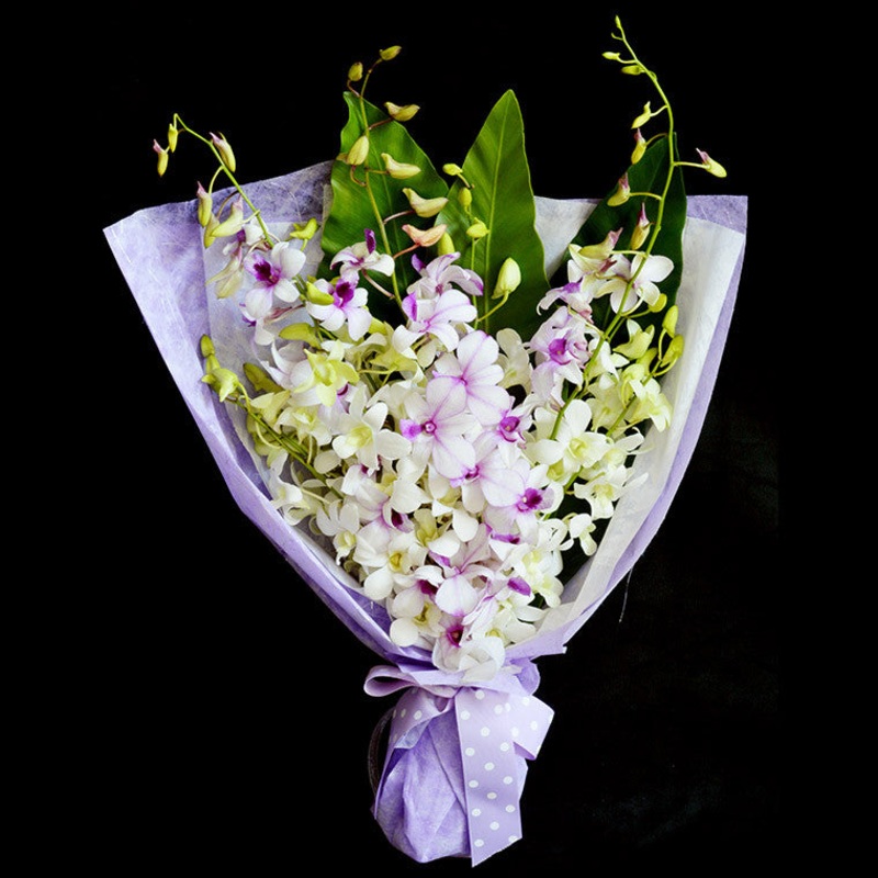Bouquet of Orchids (HB30)