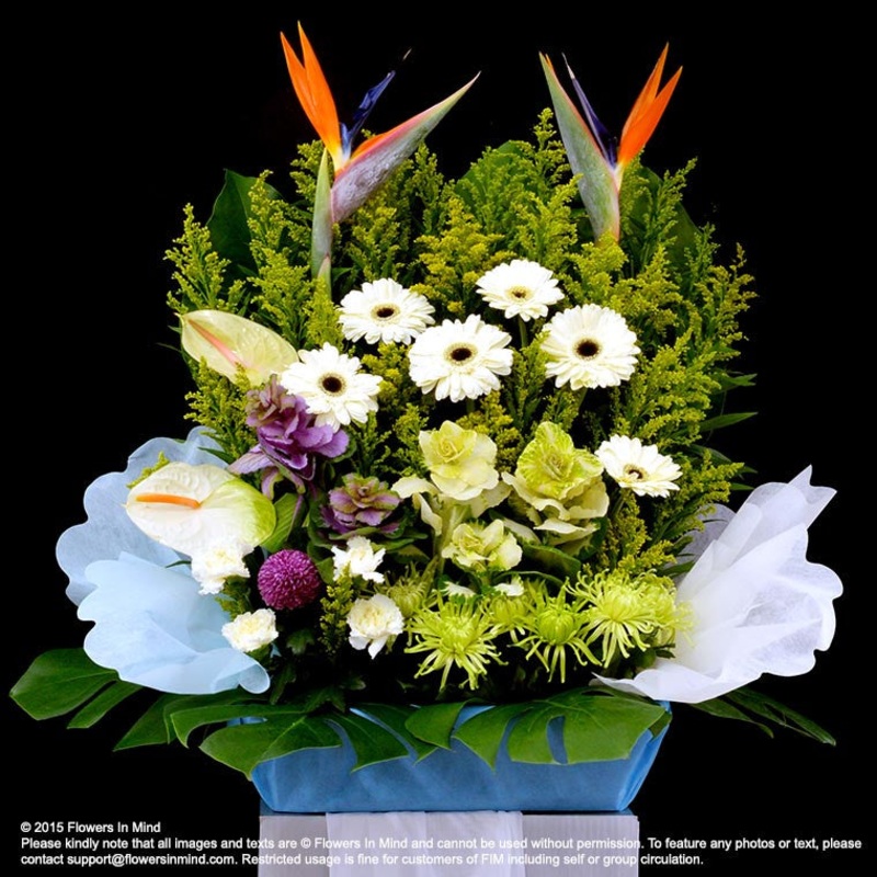 Wreath Box Design (DELUXE) (FW21)