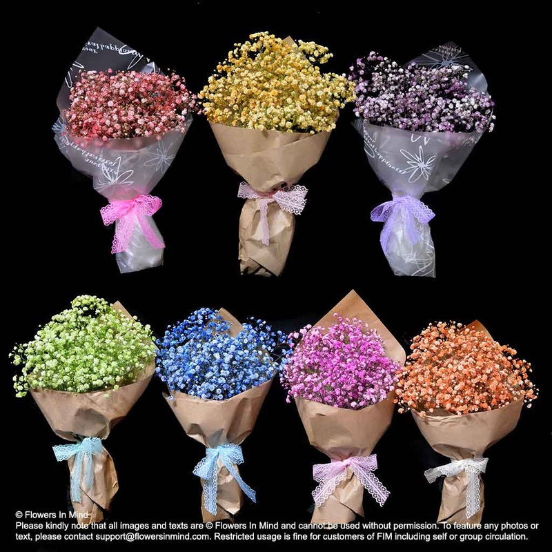 7 X Bouquets of Gypsophilla (HB355)