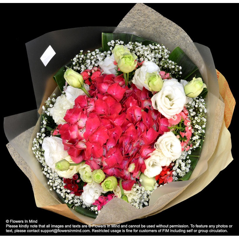 Bouquet of Hydrangea & Eustomas (HB416)
