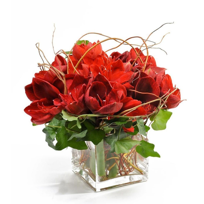 Amaryllis Pot Flower Arrangment
