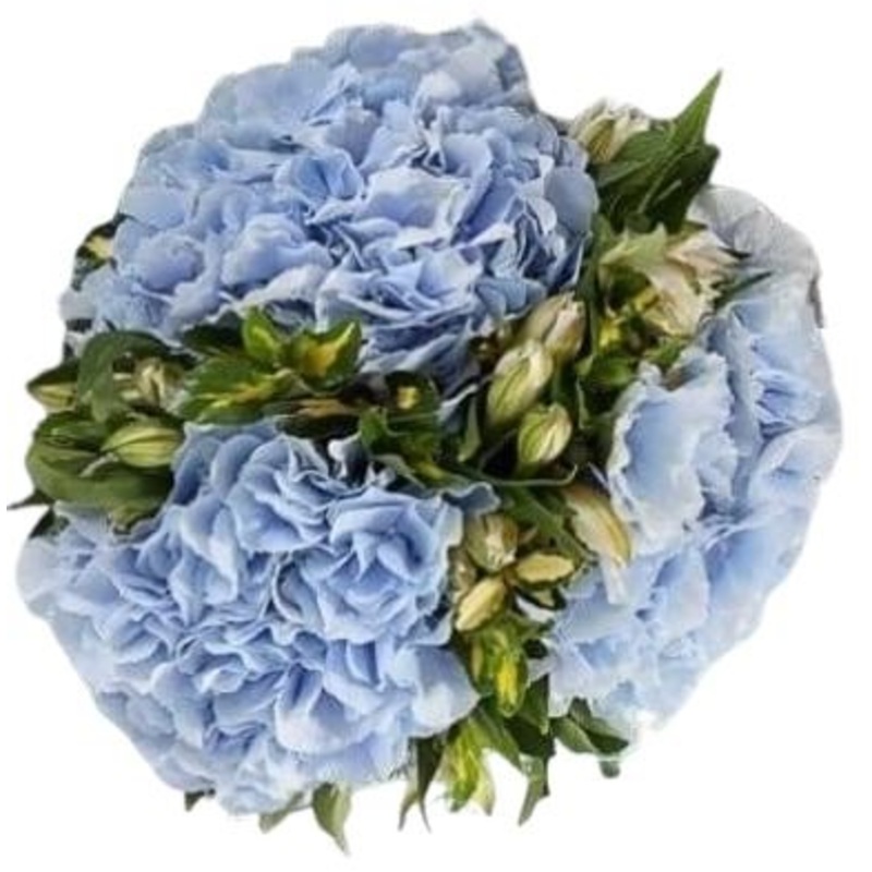 Aquamarine Bouquet-Extra Small (7 stems) & Small (13 stems) & Regular (20 stems) & Large (25 stems) & Extra Large (35 stems) & Luxury (50 stems) & Glamour ( 65 stems) & Exclusive Glamour (80 stems) & Premium (100 stems)