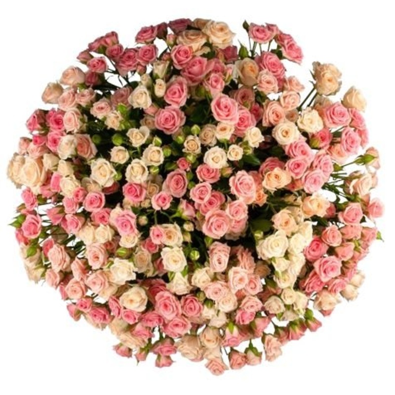 Bi-colored Spray Roses Flower Bouquet