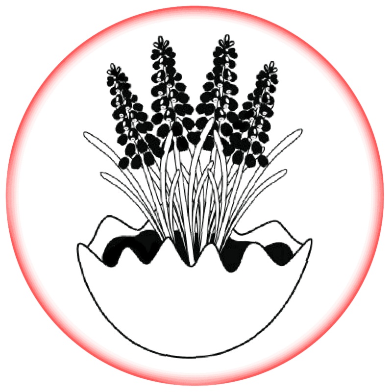 Contract Flowers (12 months or 52 weeks subscription)