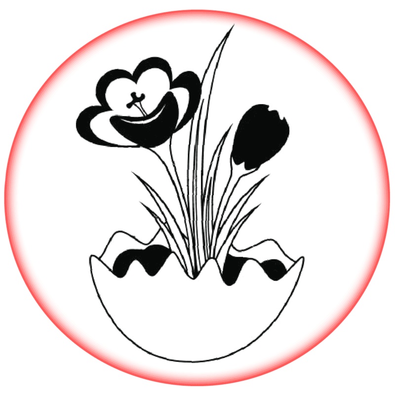 Contract Flowers (3 months or 13 weeks subscription)