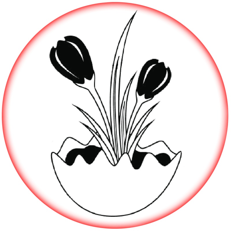 Contract Flowers (6 months or 26 weeks subscription)