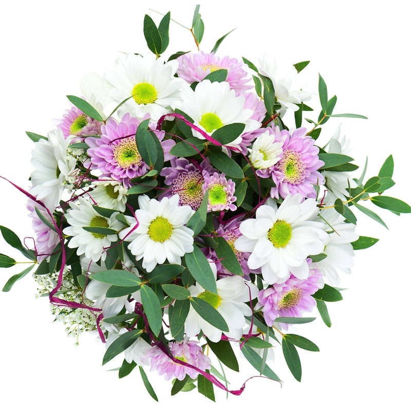 Cute Daisy Bouquet-Small (10 stems) & Regular (15 stems) & Large (20 stems) & Extra Large (25 stems) & Luxury (30 stems) & Glamour (40 stems) & Exclusive Glamour (50 stems) & Premium (60 stems) & Premium Extra (80 stems) & Posh (100 stems) & Deluxe (120 s