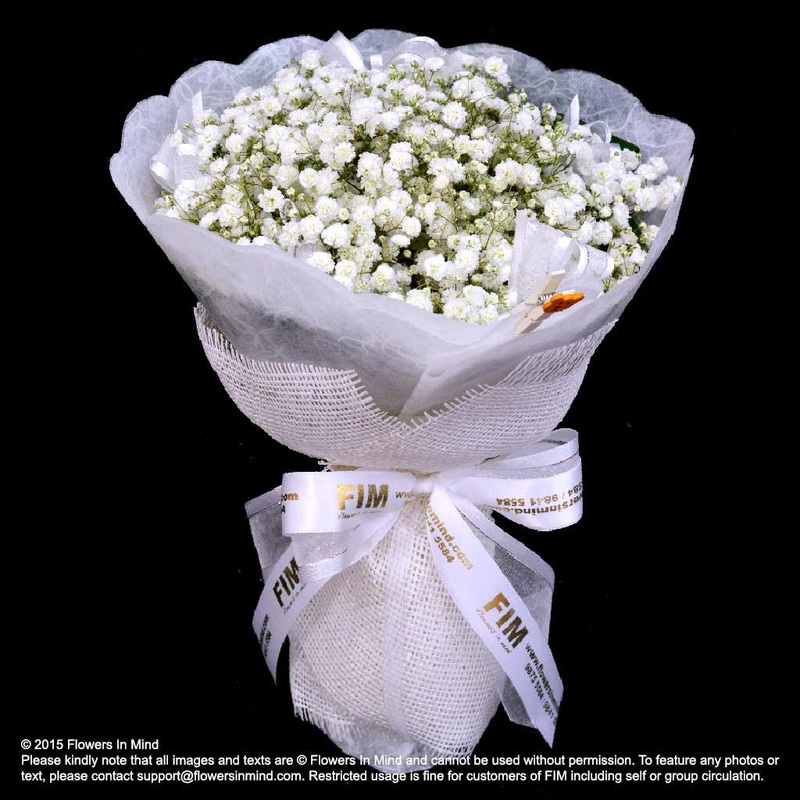 Valentine’s Day Special (HB303)