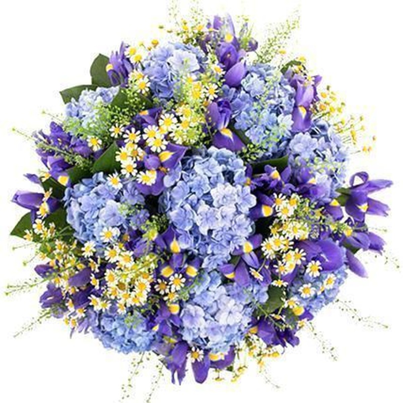 Blue Land Bouquet-Extra Small (15 stems) & Small (20 stems) & Regular (30 stems) & Large (40 stems) & Extra Large (50 stems) & Luxury (60 stems) & Glamour (70 stems) & Exclusive Glamour (85 stems) & Premium (100 stems)