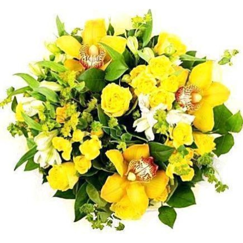 Cats Eye Bouquet-Small (10 stems) & Regular (15 stems) & Large (20 stems) & Extra Large (30 stems) & Luxury (40 stems) & Glamour (50 stems) & Exclusive Glamour (60 stems) & Premium (80 stems) & Posh (100 stems)