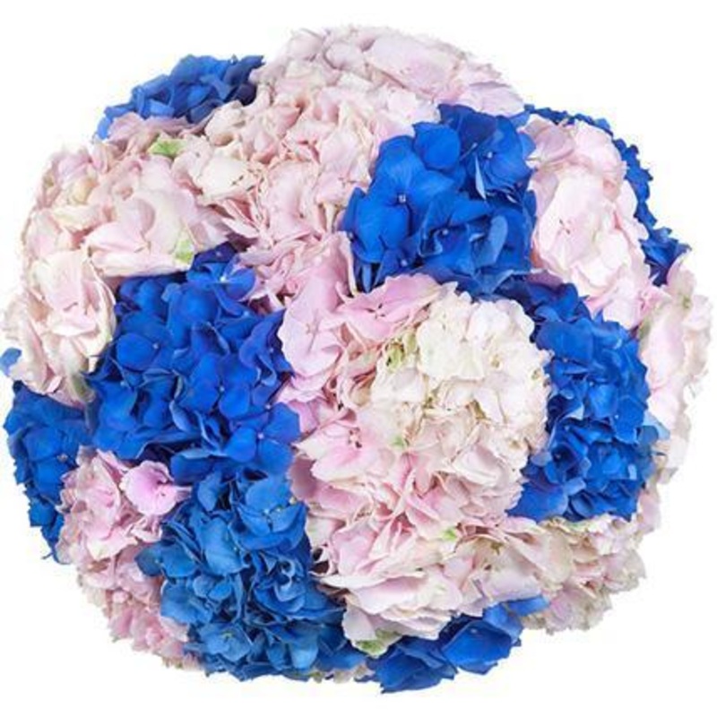 Chalcedony Bouquet-Small (8 stems) & Regular (10 stems) & Large (14 stems) & Extra Large (20 stems) & Luxury (30 stems) & Glamour (40 stems) & Exclusive Glamour (50 stems)