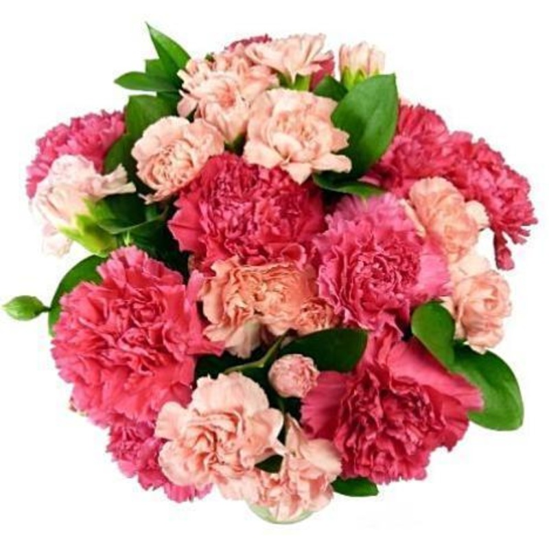 Classic Pink Carnations Bouquet