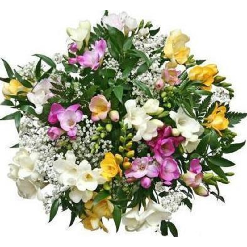 Colored Freesias and Gypsophila Bouquet
