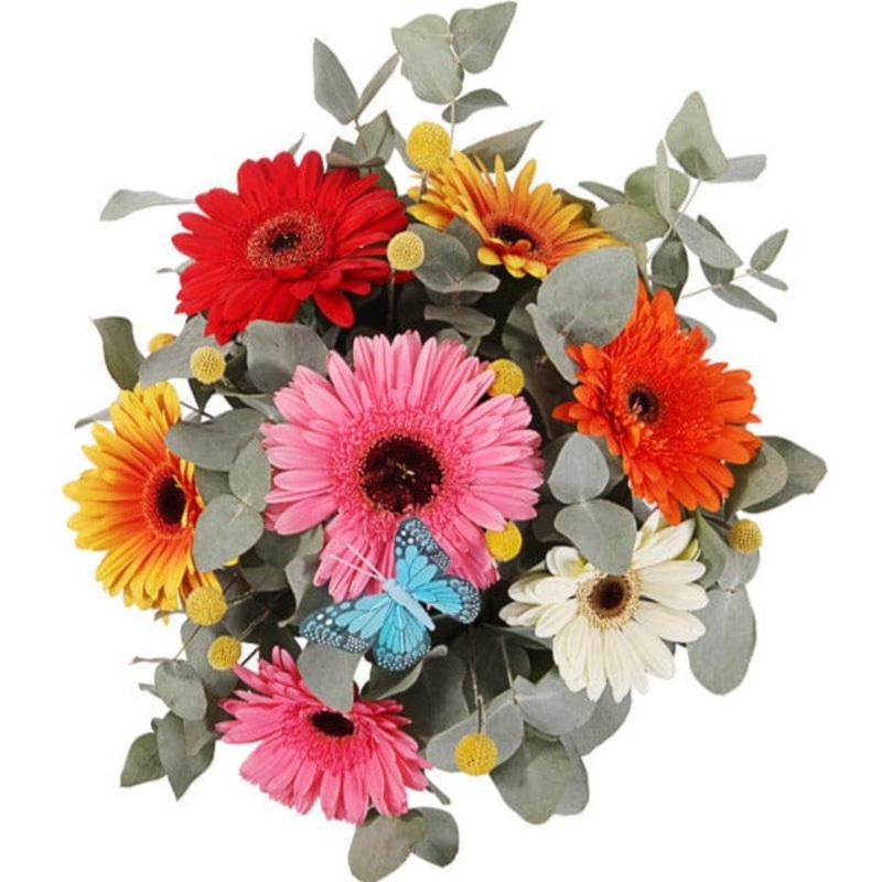 Colored Gerbera with Craspedia and  Eucalyptus Bouquet