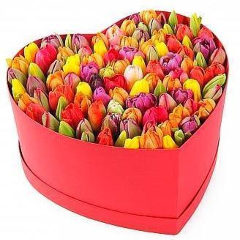 Colored Tulips Heart Box-Extra Small (20 stems) & Small (30 stems) & Medium (40 stems) & Regular (50 stems) & Large (80 stems) & Extra Large (100 stems) & Luxury (150 stems) & Glamour (200 stems) & Exclusive Glamour (250 stems) & Premium (300 stems)-Heart