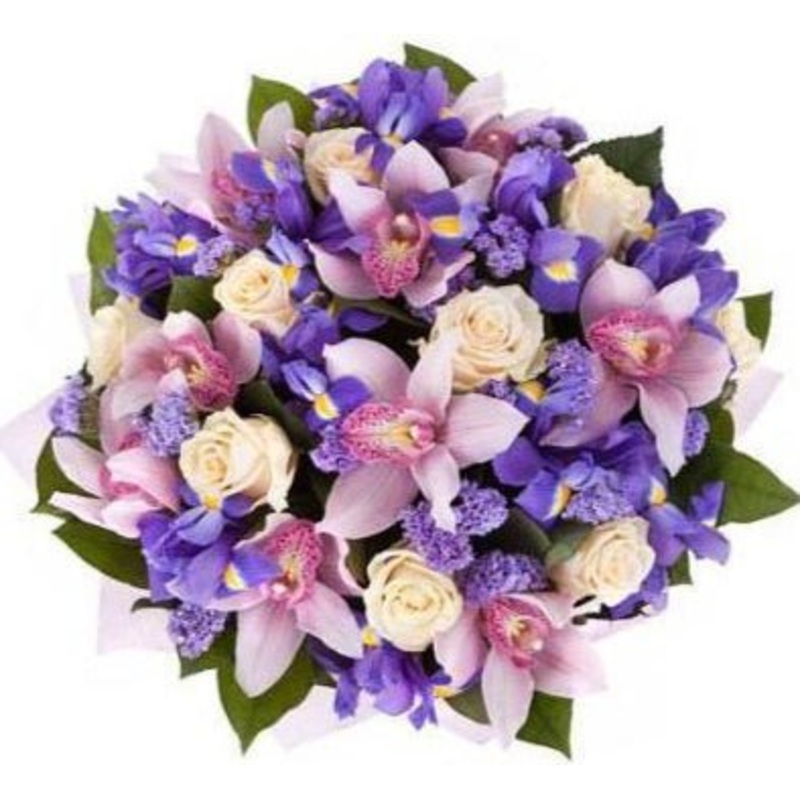 Cymbidium in Purple Bouquet-Small (15 stems) & Regular (20 stems) & Large (30 stems) & Extra Large (40 stems) & Luxury (55 stems) & Glamour (70 stems) & Exclusive Glamour (85 stems) & Premium (100 stems)