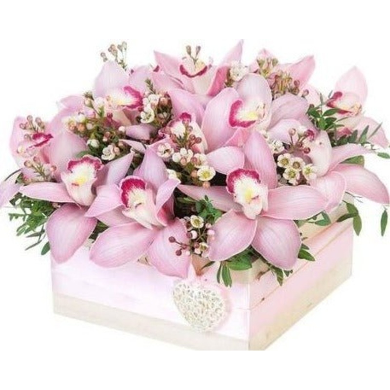 Cymbidium Orchids Box-Small (4 stems) & Regular (8 stems) & Large (12 stems) & Luxury (16 stems) & Glamour (20 stems) & Exclusive Glamour (28 stems) & Premium  (40 stems) & Posh (50 stems)-Pink Orchids & Green Orchids & Burgundy Orchids & Orange Orchids &