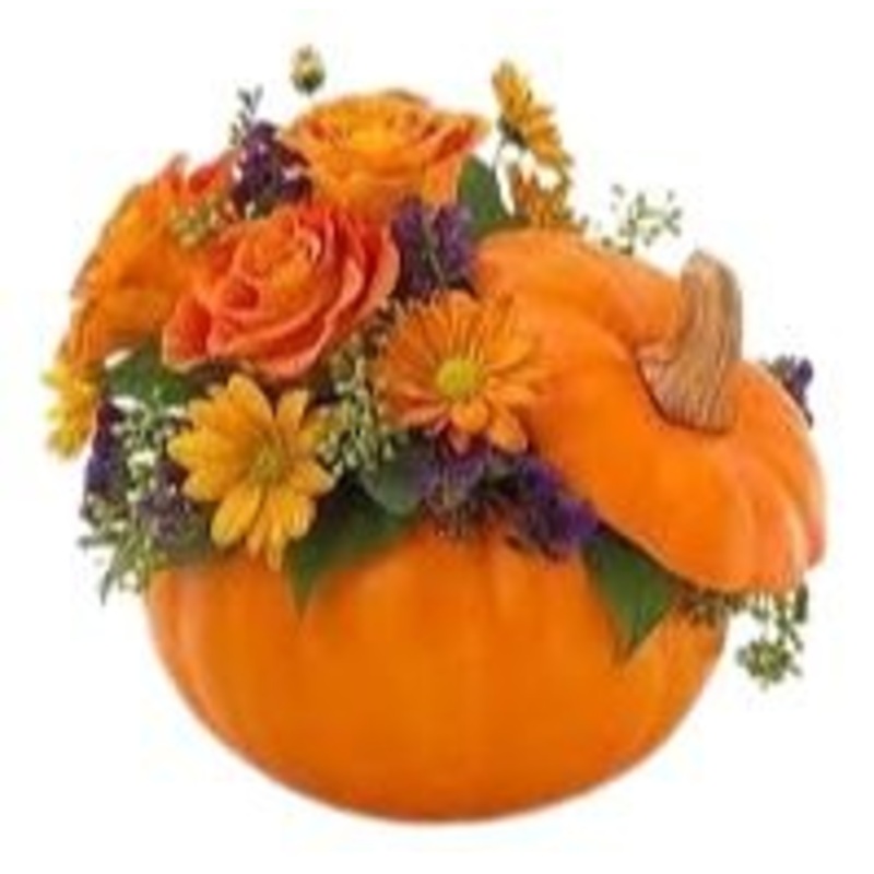 Happy Halloween Pumpkin Arrangement