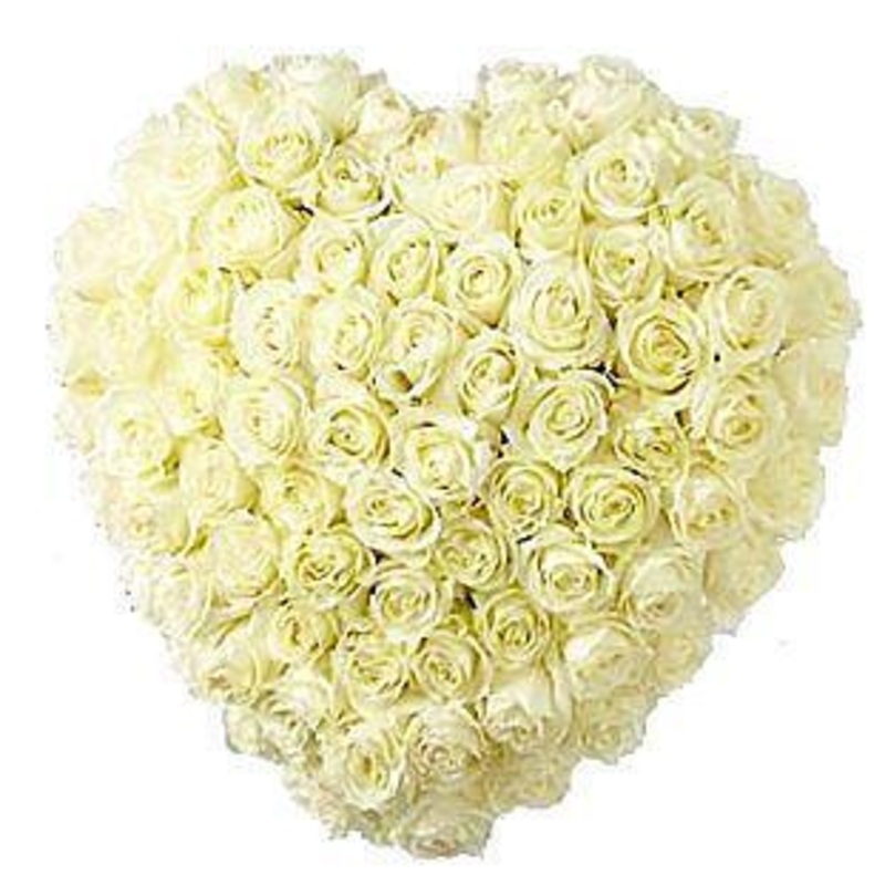 Luxury White Roses Heart-Small (25cm / 9″) & Regular (30cm / 12″) & Large (43cm / 17″) & Extra Large (54cm / 21″)